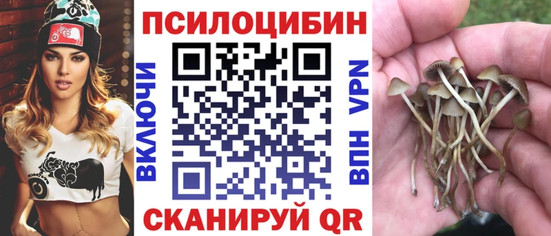 гидра рабочий сайт  Алупка  Псилоцибиновые грибы Cubensis 